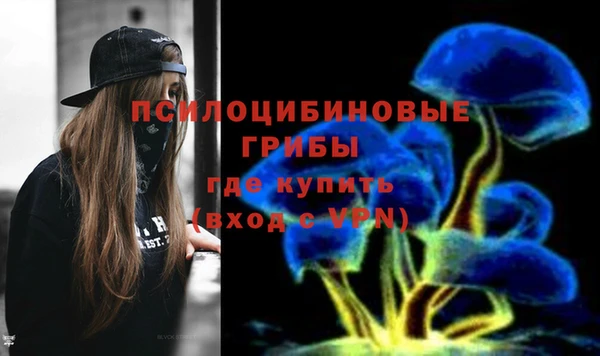 прущие крисы Магас