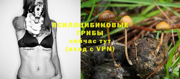 COCAINE Майский