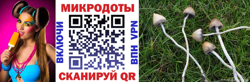 Псилоцибиновые грибы Psilocybe  что такое   Топки 
